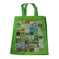 湖北LB11覆膜无纺布广告袋